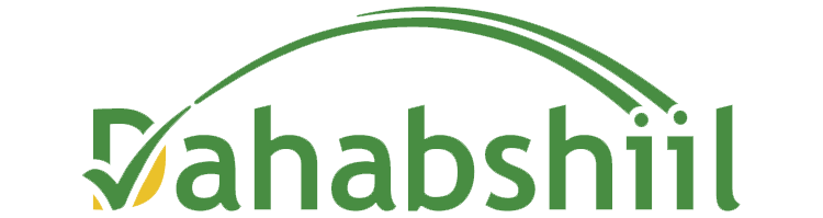 Dahabshil logo